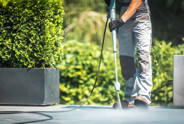 Best Sidewalk and Walkway Cleaning  in Elkins, WV