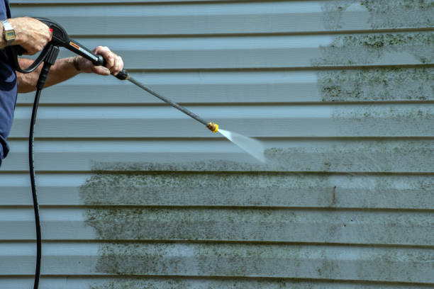 Spring Cleaning in Elkins, WV