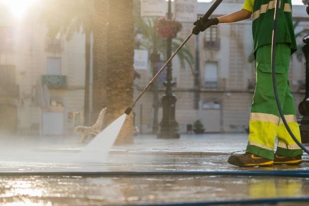 Best Gutter Cleaning  in Elkins, WV
